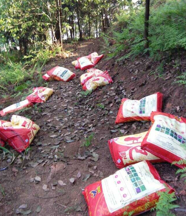 ʯɽʩ׷ľ޼ֲ.png